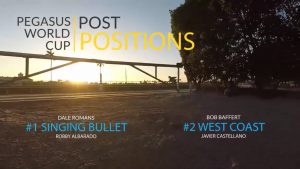 Pegasus World Cup 2018