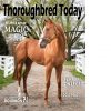 Thoroughbred Today Spring 2018