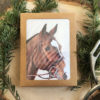 Lucky Charm Brown Bay Horse Greeting Cards box set of 10 by Carolyn Nikolai