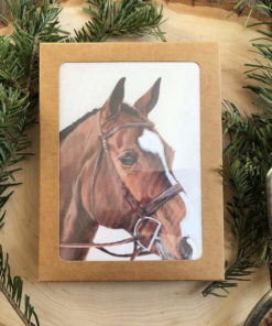Lucky Charm Brown Bay Horse Greeting Cards box set of 10 by Carolyn Nikolai