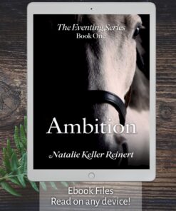 Ambition ebook