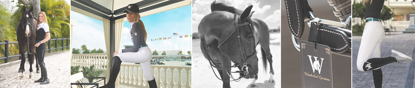 Wonderland Equestrian