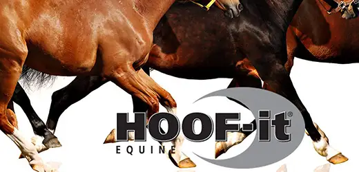 HOOF-it