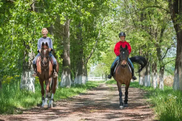 7 Beginner Horseback Riding Tips to help new riders