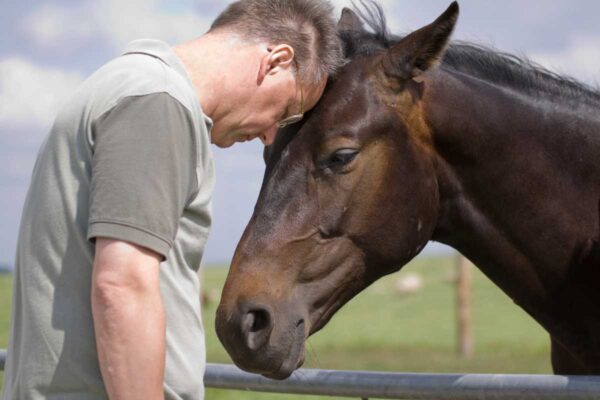 Equine-Assisted Therapy - The Healing Power of Horses